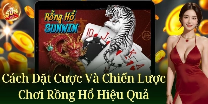 Cách đặt cược và chiến lược chơi Rồng Hổ hiệu quả